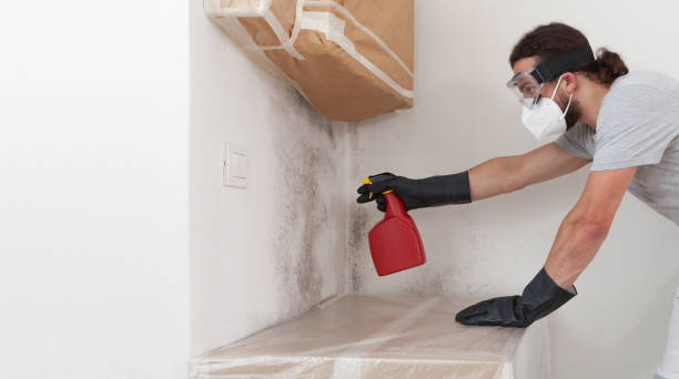 Professional Commercial Mold Remediation technician working in Summit, NJ