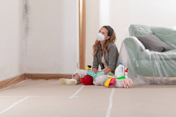 Reliable Commercial Mold Remediation contractor in Summit, NJ by 24 Hour Mold Removal